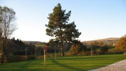 Fresh Turf delivered into Cornwall 